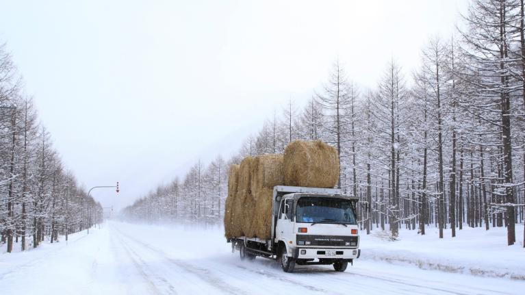 車両管理(フリートマネジメント)システムで雪でもトラックなどの運行状況を管理